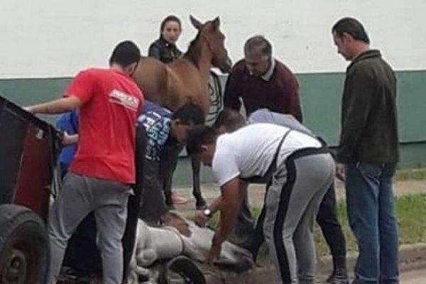 Fuerte choque entre una camioneta y un carro con dos caballos