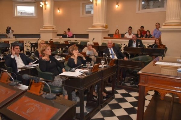 El Senado abre las puertas a la producción de pasta celulosa y papel