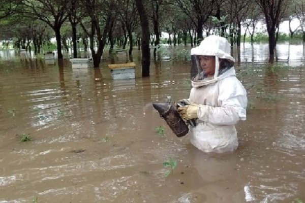 Peppo: Esperábamos la cosecha récord pero se fue todo con el agua