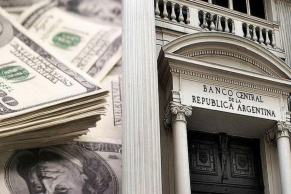 El dólar se desplomó un 2,6% y perforó los $ 46