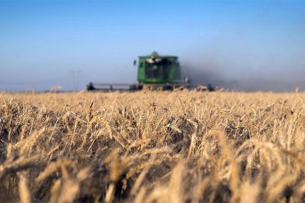 La producción agrícola en Corrientes ascendió a 109.000 toneladas