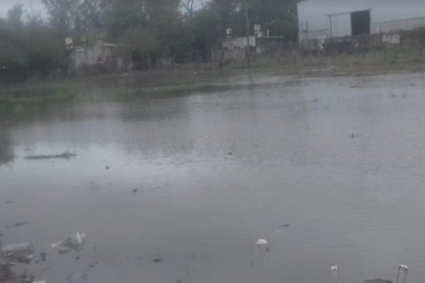 Desesperante situación de una familia que se inundó