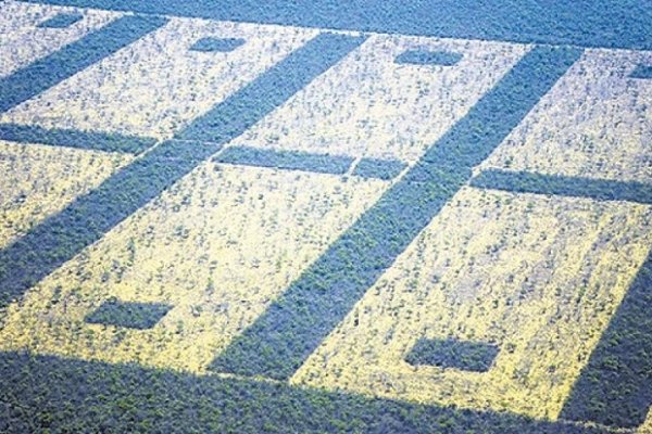 Desmontes, la hora de la Justicia