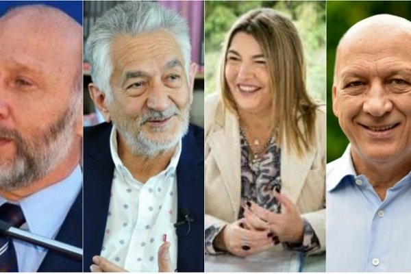 Otro súperdomingo de elecciones: Santa Fe, San Luis, Tierra del Fuego y Formosa eligen a sus gobernadores