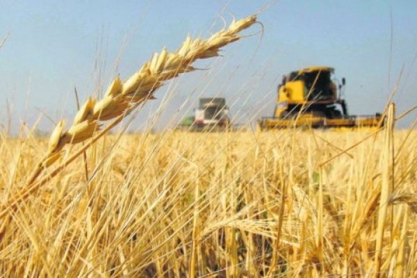 La crisis alimentaria global: Argentina es parte de la solución