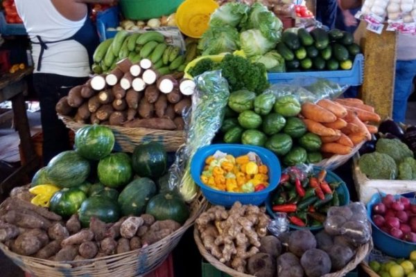 Verdulerías capitalinas presentan subas de hasta el 100% en vegetales y hortalizas