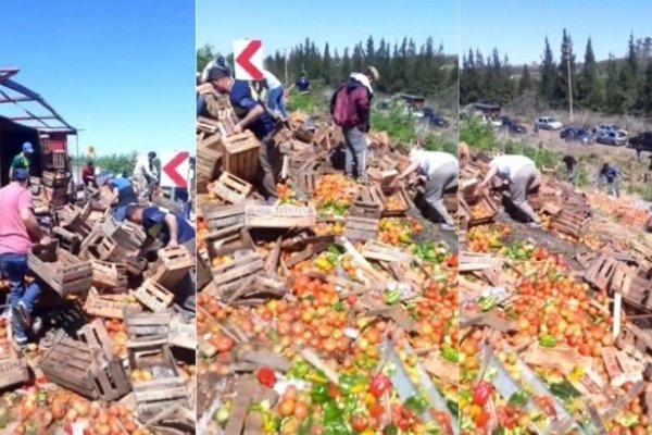 Volcó un camión en Ruta 6 con verduras y lo saquearon los vecinos