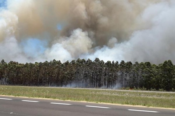 Alerta extrema por incendios forestales en toda la provincia