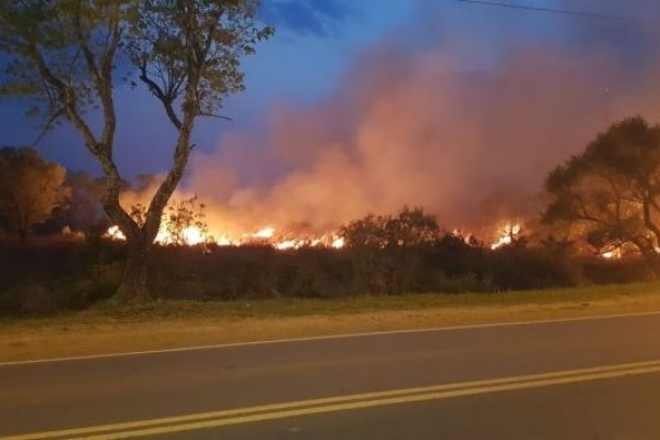 En el acceso a Paso de la Patria, incendios llegan a transformadores de la DPEC