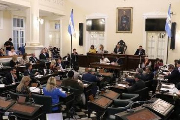 Legisladores alzan pedido por la gratuidad en transporte