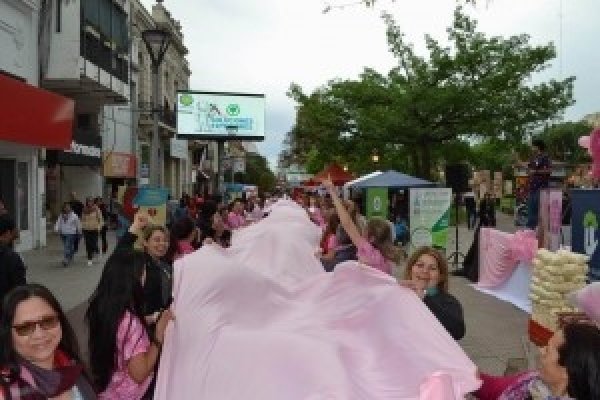 Corrientes levantó la bandera de la Lucha Contra el Cáncer de Mama