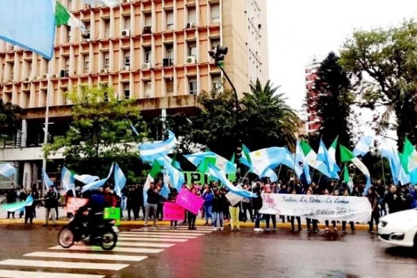 PANORAMA SEMANAL: ¿Qué se frena cuando se frenan los pases a planta?