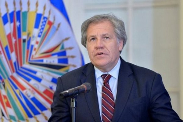 Desnudan la manipulación de la OEA sobre el escrutinio en Bolivia