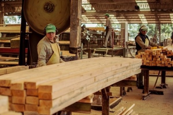 Incentivan la construcción de casas de madera en Corrientes