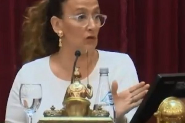 En medio de la jura de los senadores, Michetti apuró la sesión por un corte de luz