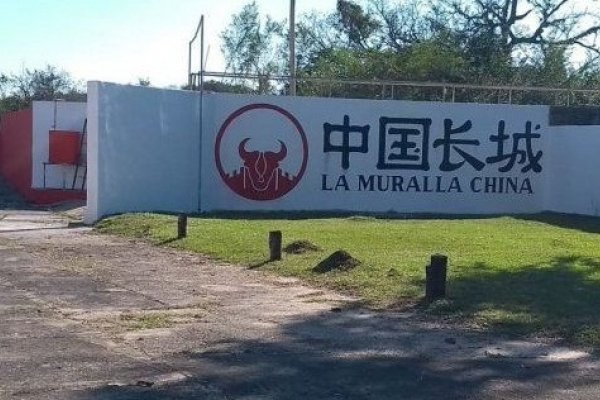 En Corrientes, el frigorífico de Riachuelo faena más de cien cabezas por día