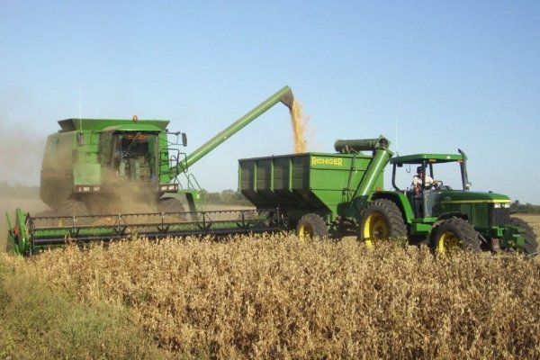 Corrientes: Productores de arroz piden a Nación baja de retenciones