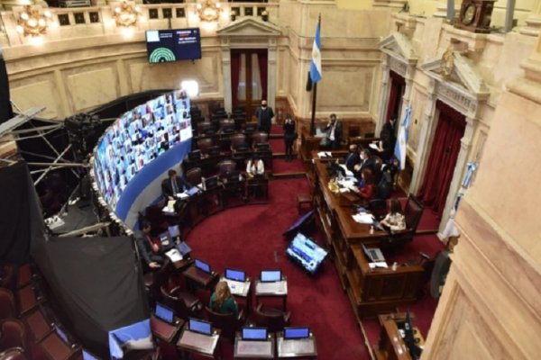 Con algunos problemas técnicos en la sesión virtual, el Senado analiza los DNU presidenciales