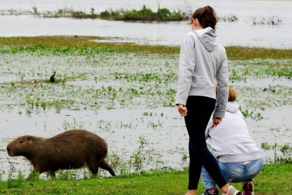 Corrientes: Piden declaración de Emergencia Turística prevista en ley provincial de turismo