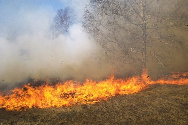 Humo en la Capital: Al menos 25 incendios de pastizales redujeron la visibilidad