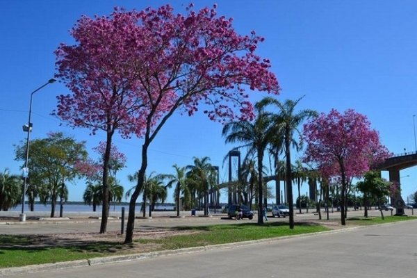 Cielo despejado en Corrientes