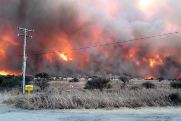 14 mil hectáreas ya fueron afectadas por los incendios en Córdoba