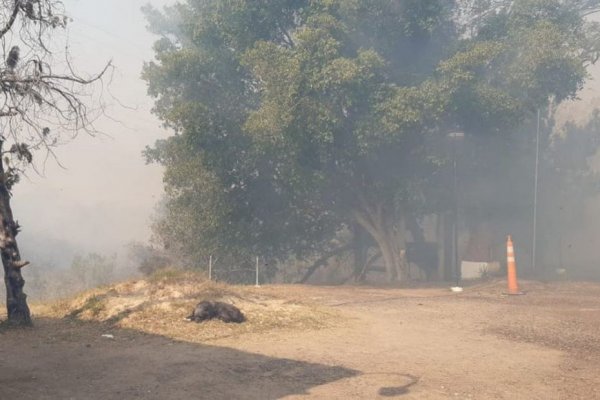 Varios incendios ocasionan una humareda en Capital