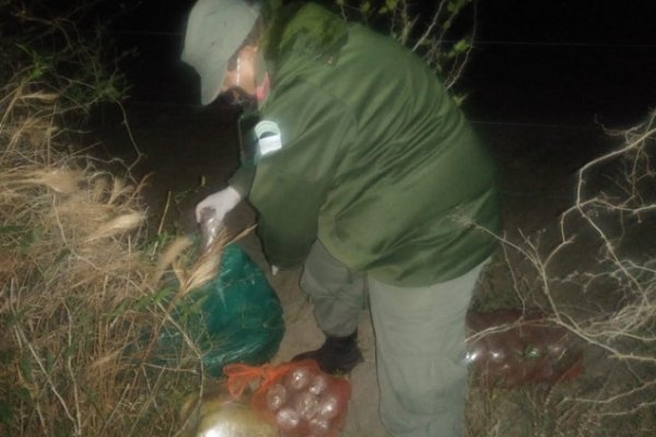 Gendarmería incautó 82 paquetes de marihuana en Ruta 12