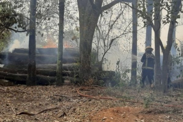 Tensión por importante incendio en un terreno en el barrio Cremonte