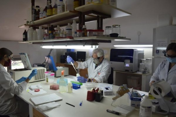 Investigadores explican cómo se analizan muestras de Covid-19