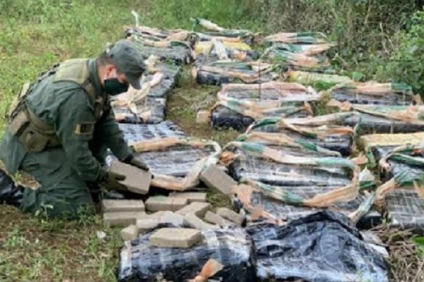 Misiones: Hallan más de 665 kilos de marihuana ocultos en la maleza del monte