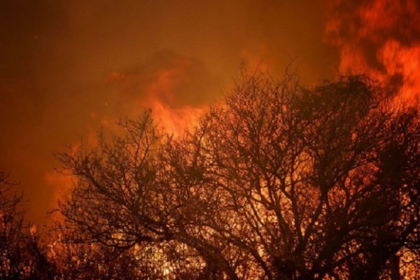 Córdoba: Dictan prisión preventiva para dos imputados por causar un incendio que afectó a miles de hectáreas