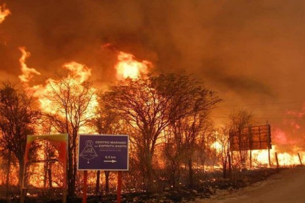 ¿Qué se puede hacer para que no haya más incendios en la Argentina?