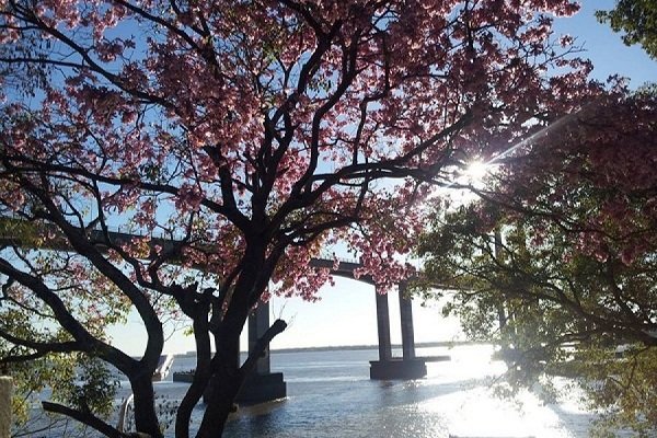 Jornada calurosa: La máxima rondaría los 40 grados en Corrientes