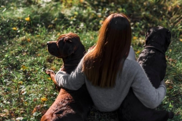 El misterio de la relación entre perros y humanos