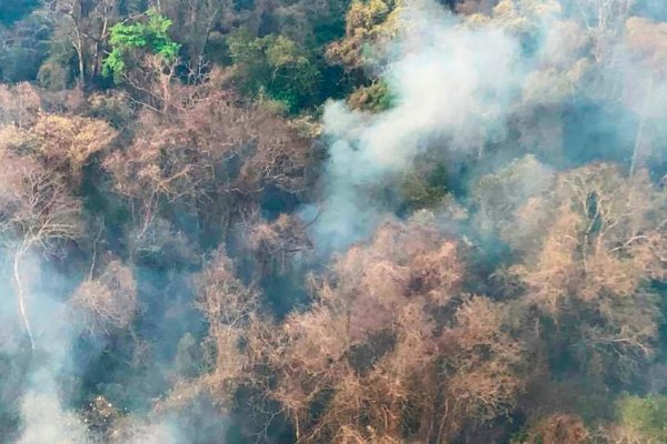 Jujuy, Córdoba, La Pampa y Corrientes mantienen focos activos de incendios