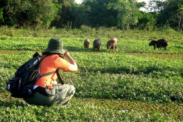 Encuesta CorrientesHoy: Más del 60% no está de acuerdo con la habilitación del turismo