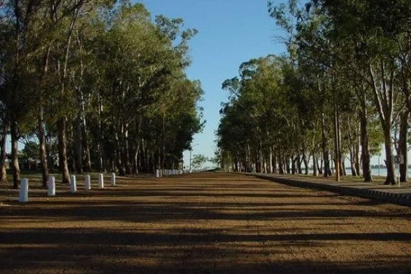 ¿Progreso vs medio ambiente?