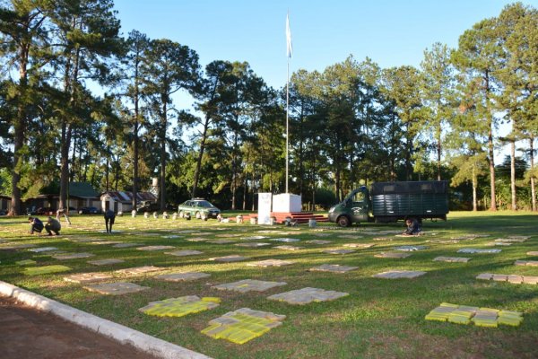 Gendarmería decomisó casi cuatro toneladas de marihuana