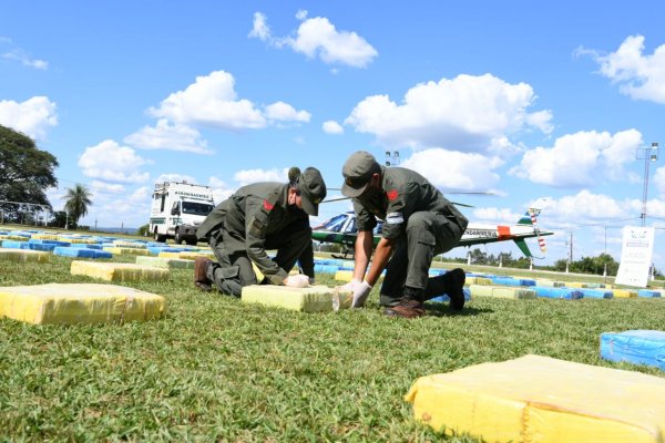 Gendarmería incautó ocho toneladas de marihuana en Misiones