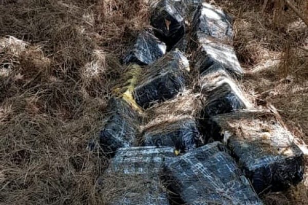 La Gendarmería decomisó casi dos toneladas más de marihuana