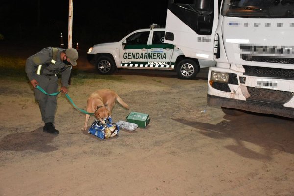 Secuestraron marihuana y detuvieron a dos personas en Corrientes