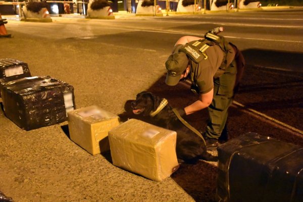 Intentaban retirar una encomienda con más de 19 kilos de marihuana