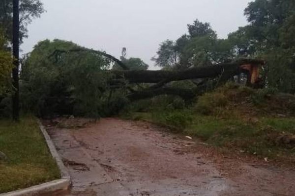 Más de 20 localidades sin energía eléctrica tras el temporal