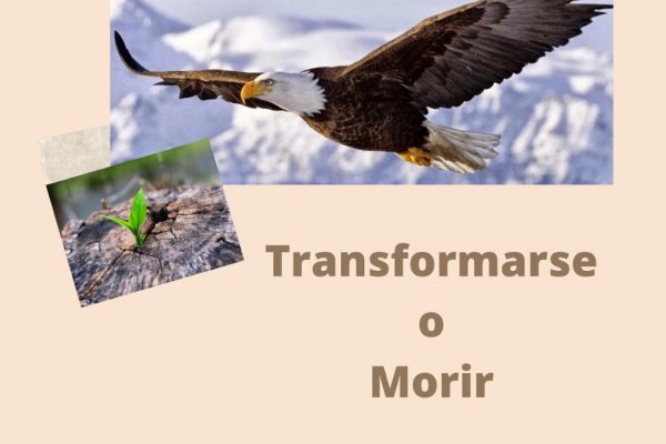 Transformarse o Morir