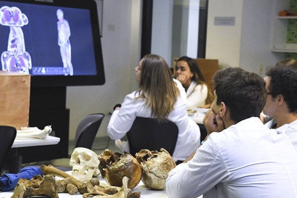 Enfermería y Ciencias Exactas, dos de las carreras universitarias más convocantes