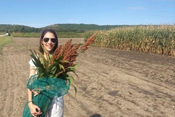 De enseñar violín en Corrientes ahora investiga sorgos híbridos en Estados Unidos