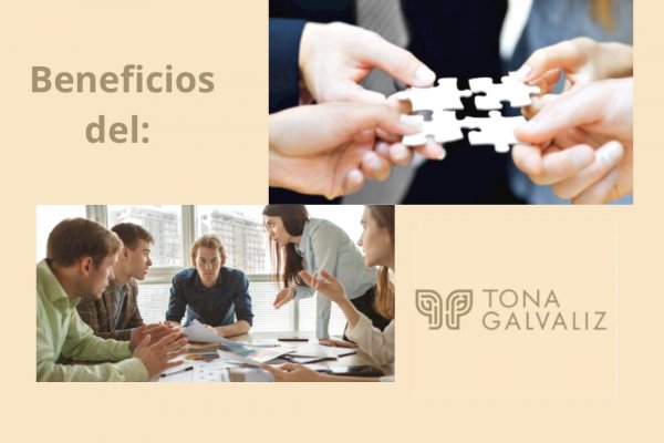 Beneficios del Counseling Organizacional