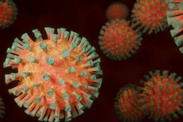 Cómo seguirá el coronavirus: el pronóstico de un panel de científicos de todo el mundo