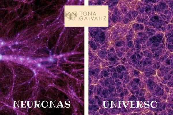 Espiritualidad y Ciencia Unidas